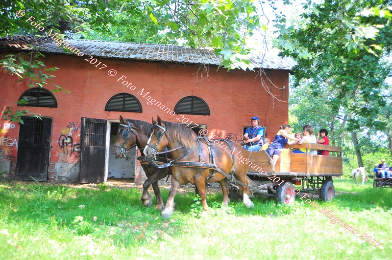 DSC_0962.JPG
